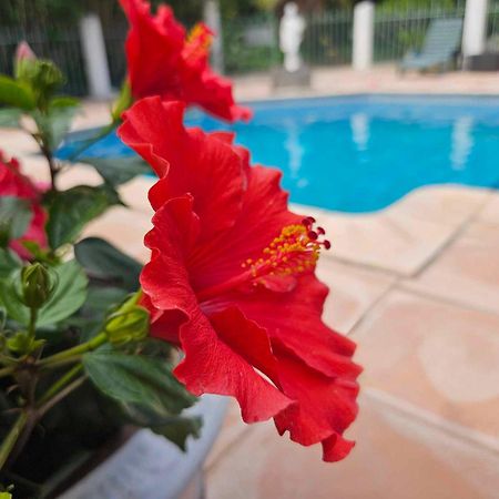 Les Jardins Du Patriarche Hotel แอกด์ ภายนอก รูปภาพ