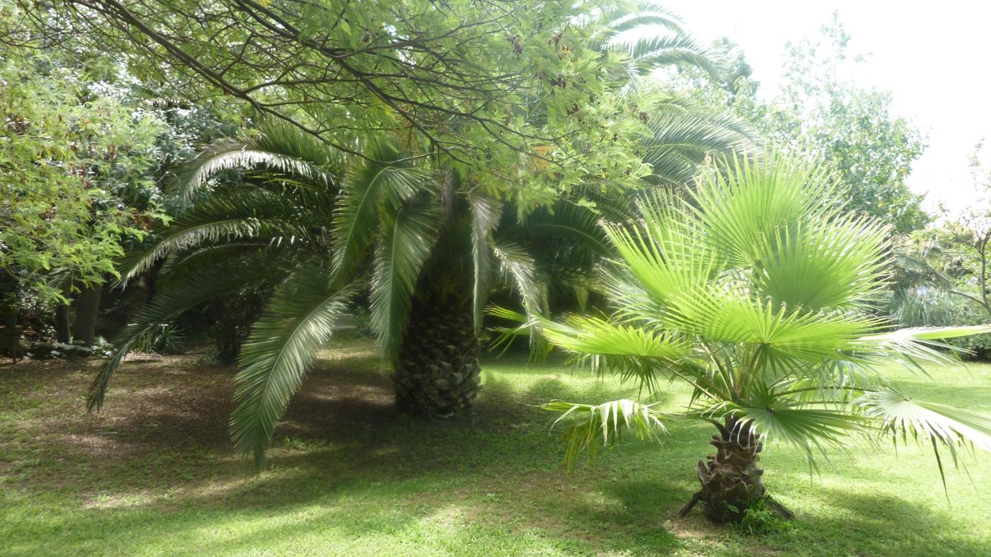 Les Jardins Du Patriarche Hotel แอกด์ ภายนอก รูปภาพ
