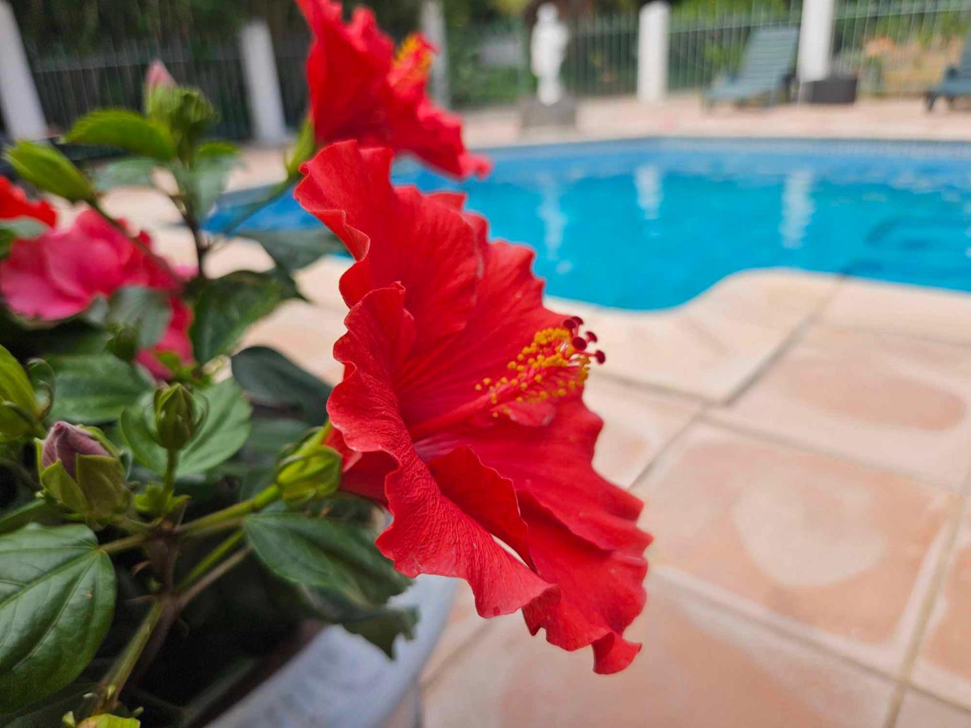 Les Jardins Du Patriarche Hotel แอกด์ ภายนอก รูปภาพ