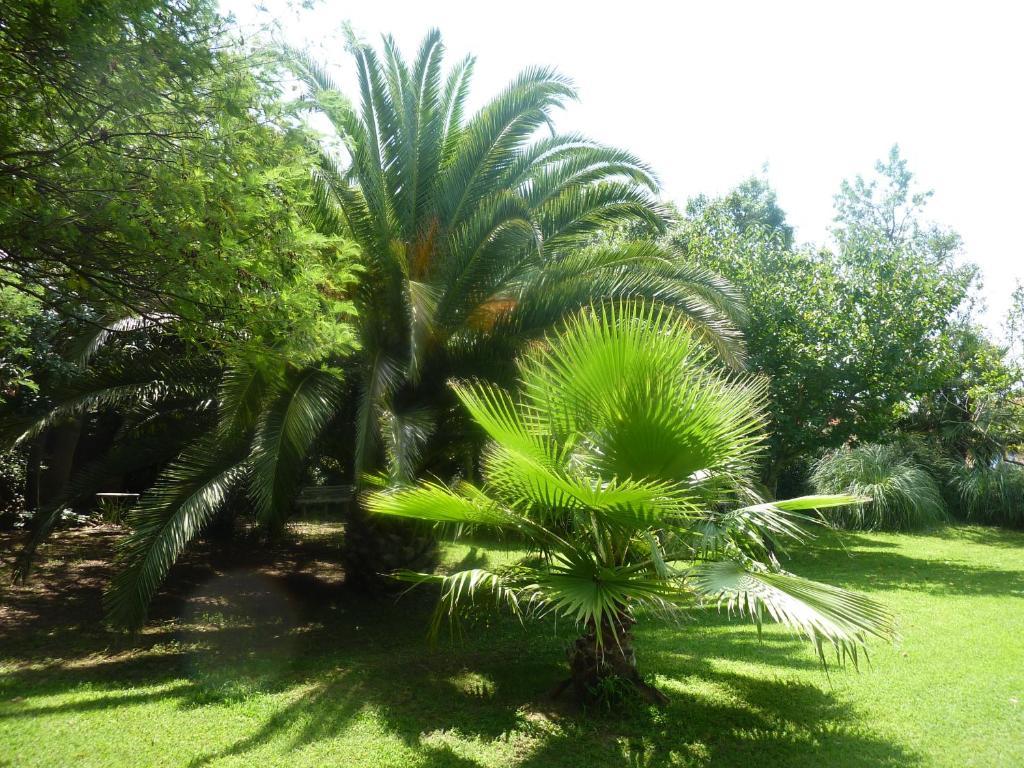 Les Jardins Du Patriarche Hotel แอกด์ ภายนอก รูปภาพ